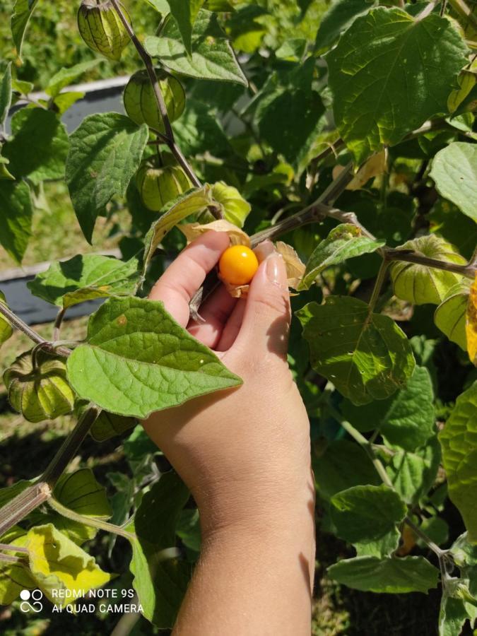 Holiday home Recanto Do Physalis Rio Rufino
